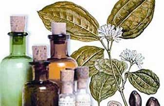 Bio Pharmus - Foto 1