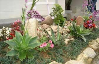 Jld Jardinagem - Foto 1