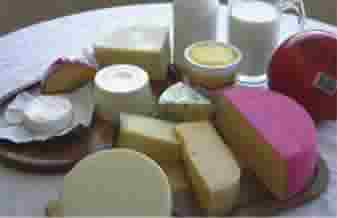 Maxxi Milk - Foto 1