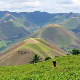 Concurso SAAE Mogi Mirim SP