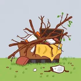 descarte irregular de galhos e entulhos