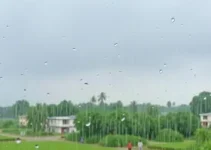 Mogi Guaçu previsão do tempo