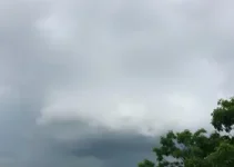 previsão do tempo Mogi Guaçu