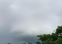previsão do tempo em Mogi Guaçu