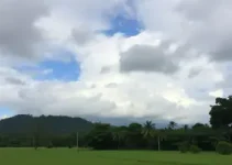 Mogi Guaçu
