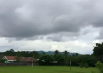 Mogi Guaçu