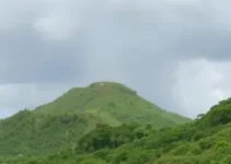 previsão do tempo em Mogi Guaçu