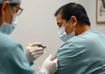 campanha de vacinação contra a gripe