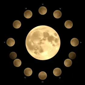 história do seu site