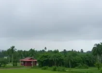previsão do tempo em Mogi Guaçu