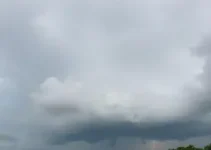 Mogi Guaçu