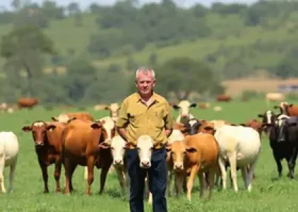 Últimas noticias de Mogi Guaçu