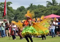Festival Sub-11