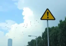 alertas da Defesa Civil