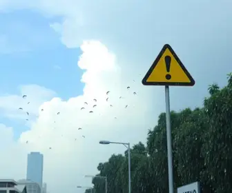 alertas da Defesa Civil
